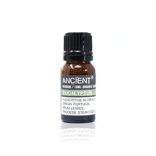 Eucalyptus – Organic Essential Oil (10ml)